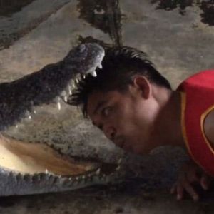 为吸引游客，泰国动物园的工作人员冒险把头伸进鳄鱼嘴中