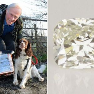 英国老汉遛狗捡到价值一万二千英镑的大钻石